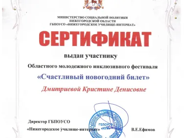 Сертификаты областного молодежного инклюзивного фестиваля "Счастливый новогодний билет"